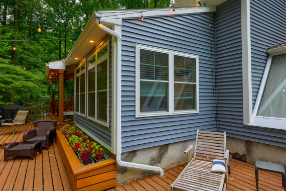 Douglas-Fir-Project-2