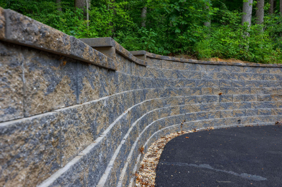 Douglas-Fir-Project-5