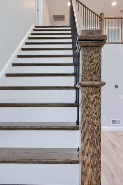 Forest-Lane-Project-64