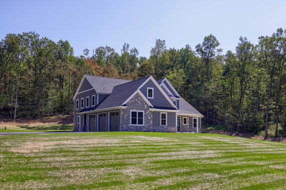 Forest-Lane-Project-02