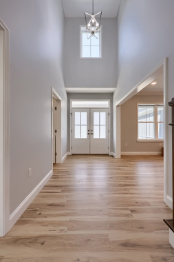 Forest-Lane-Project-15